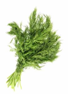 All About Fennel Image